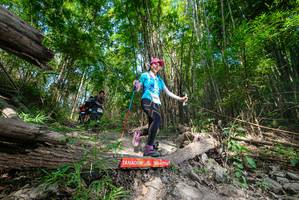 BIB: 
                            <button type="button" onclick="openModal(19389162)" class="btn btn-primary btn-sm float-right btn-popup" data-toggle="modal" data-target=".modal-high-quality">
                        <i class="fas fa-shopping-cart"></i> Add to Cart
                    </button>
                                            <button type="button" onclick="isThisMe(19389162, true)" class="btn btn-success btn-sm float-right btn-popup btn-isme hidden" data-toggle="tooltip" data-placement="bottom" title="นี่คือรูปของคุณใช่ไหม คลิกที่นี่เพื่อเอาเข้าอัลบั้ม">
                        <i class="fas fa-plus"></i> Add to album
                    </button>
                    <button type="button" onclick="isThisMe(19389162, false)" class="btn btn-warning btn-sm float-right btn-popup btn-isnotme hidden">
                        <i class="fas fa-ban"></i> Remove from album
                    </button>